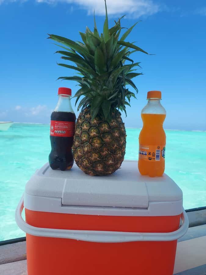 Zanzibar: Blue lagoon & Starfish - Guide and captain style: English, French, German, Italian