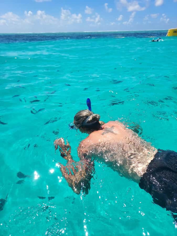 Zanzibar: Blue lagoon & Starfish - Price and value: what you’re really paying for