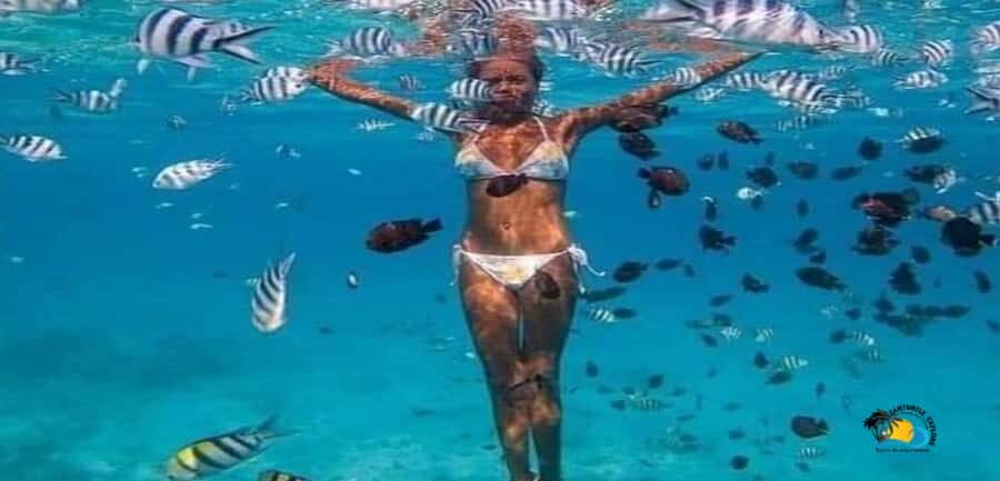 Zanzibar: Blue Lagoon, Starfish and Jozani Forest Tour - The Boat Ride and Sandbank Snorkel Off Michamvi