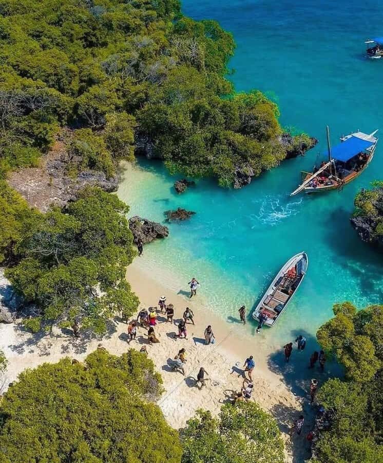 ZANZIBAR: BLUE SAFARI TOUR WITH LUNCH - Blue Lagoon mangroves: the calm-water payoff after reef time