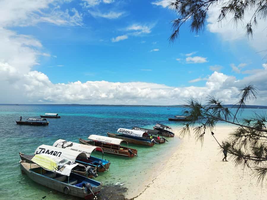 Zanzibar: Changuu Island and Stone Town Tour with Lunch - Private Boat Ride and the Sea Reality Check
