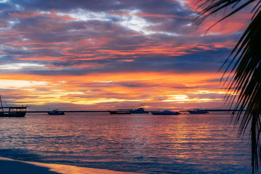Zanzibar City: Sunset Sailing Tour with Snacks and Drinks - Why a sunset sail from Old Fort feels like the real Zanzibar pace