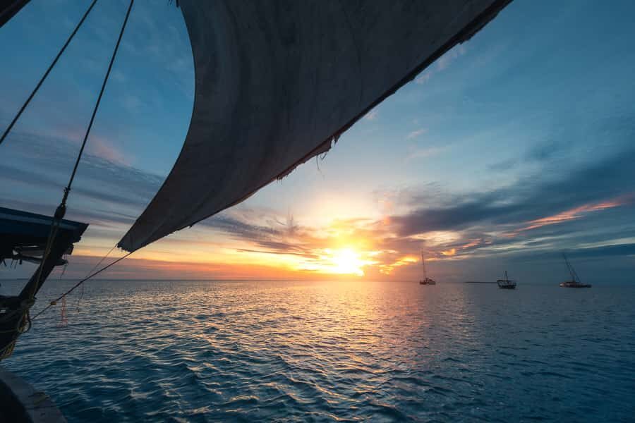 Zanzibar City: Sunset Sailing Tour with Snacks and Drinks - Mangroves at sundown: where birds quietly steal the show