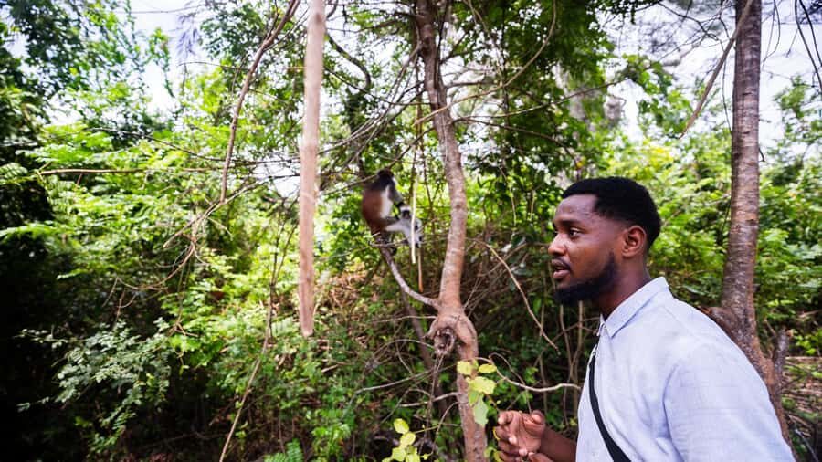 Zanzibar: Day Jozani Forest,Spice Farm,Nature and Savor Tour - Why Jozani Forest Feels Like Zanzibar’s Real Nature Course