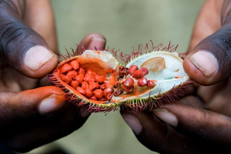 Zanzibar: Day Jozani Forest,Spice Farm,Nature and Savor Tour - The Guides Matter More Than You Think