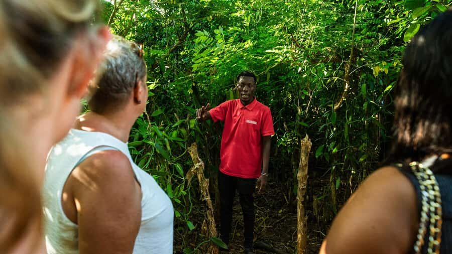 Zanzibar: Day Jozani Forest,Spice Farm,Nature and Savor Tour - Timing and Getting There: A Half-Day That Won’t Feel Too Loose