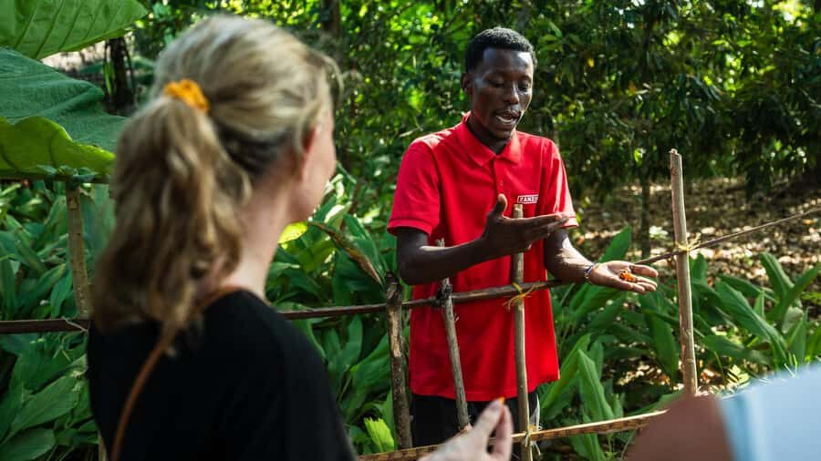 Zanzibar: Day Jozani Forest,Spice Farm,Nature and Savor Tour - Spice Farm Tour: From Spice Island Myth to What’s Actually Growing