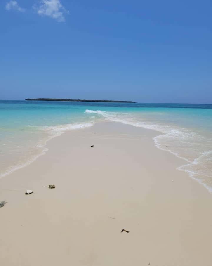 Zanzibar: Discover fullday snorkeling +sandbank BBQ - Price and value: what $100 per person includes (and why it matters)