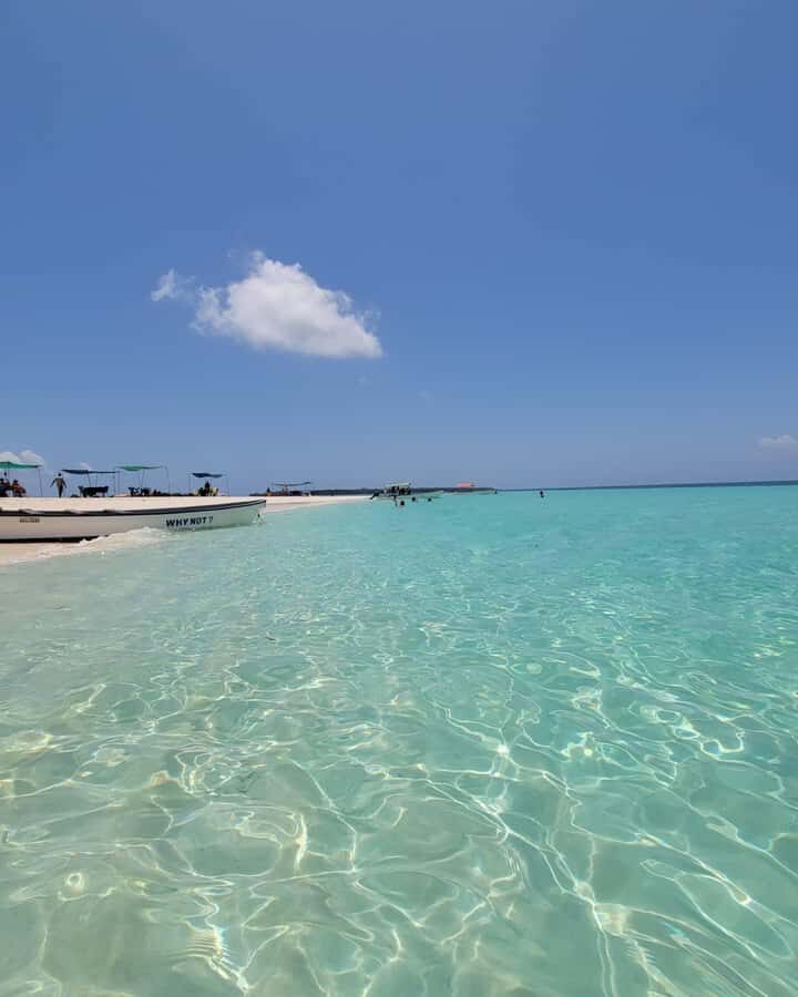Zanzibar: Discover fullday snorkeling +sandbank BBQ - Who should book this Zanzibar snorkeling and sandbank BBQ?