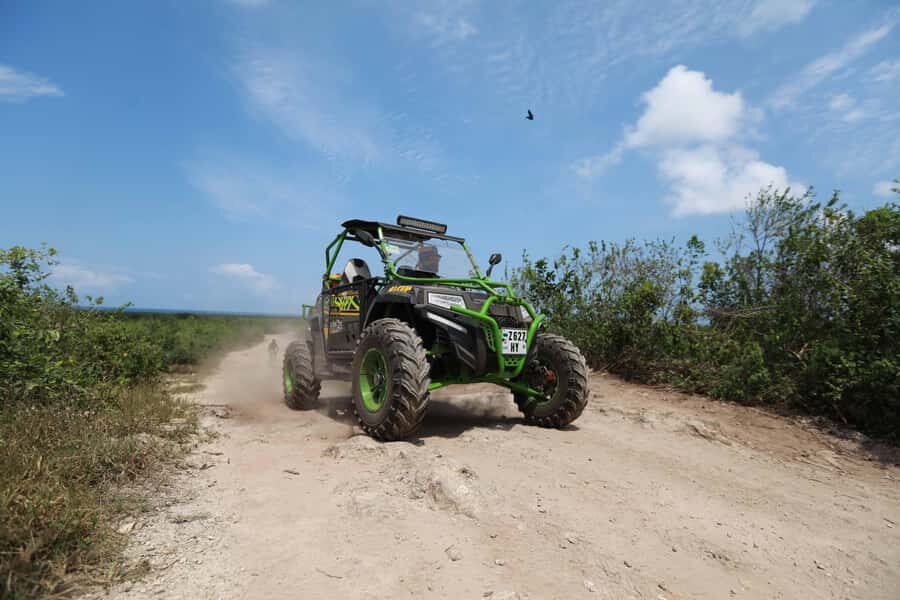 Zanzibar Extreme Tandem Buggy Adventure - Private Pickup in Zanzibar South: Saving Your Energy for the Trails