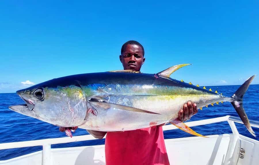 ZANZIBAR FISHING EXPRIENCE - Offshore Big-Game Fishing: Tuna, Kingfish, Marlin, and Dorado