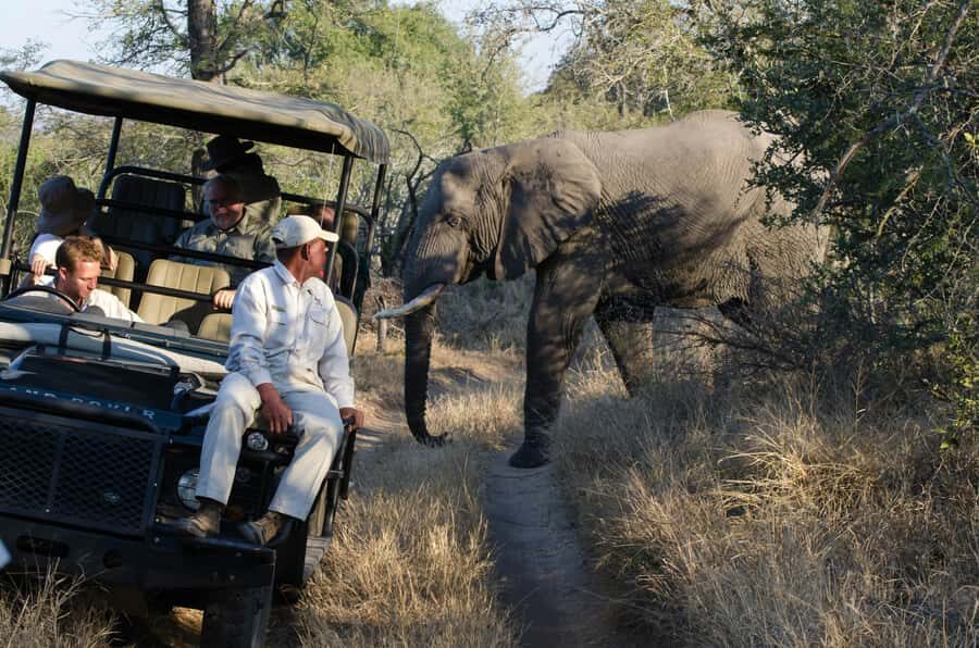 Zanzibar: Fly to Nyerere National Park – 2-Day Safari - Key things that make this safari tick