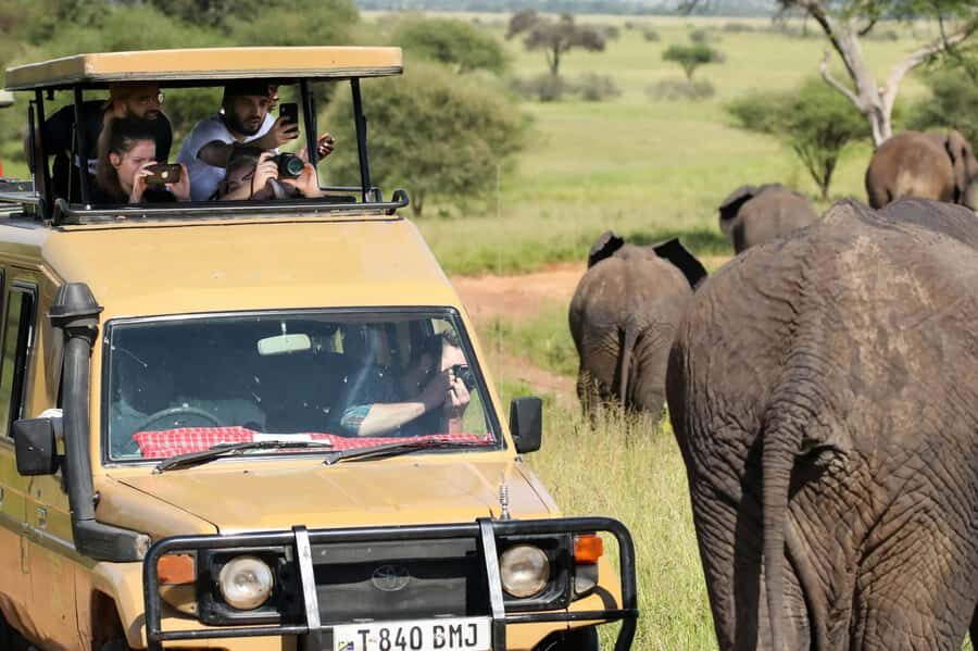 Zanzibar: Fly to Nyerere National Park – 2-Day Safari - Jeep comfort and the safety factor on safari roads