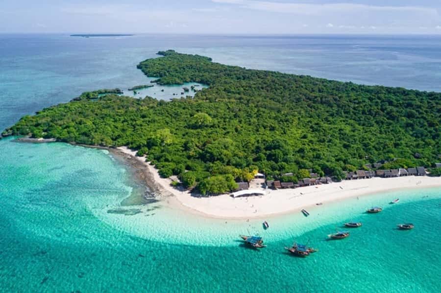Zanzibar: Full-Day Conservation Safari with BBQ Lunch - Kwale Island Hours: Sailing, Marine Life Watching, and Swimming Breaks