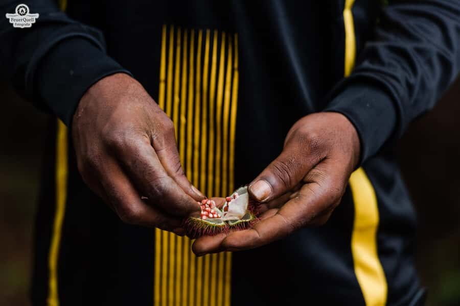 Zanzibar: Half-Day Prison Island, Tortoises and Spices Tour - Prison Island: the story behind the name, plus real tortoise time