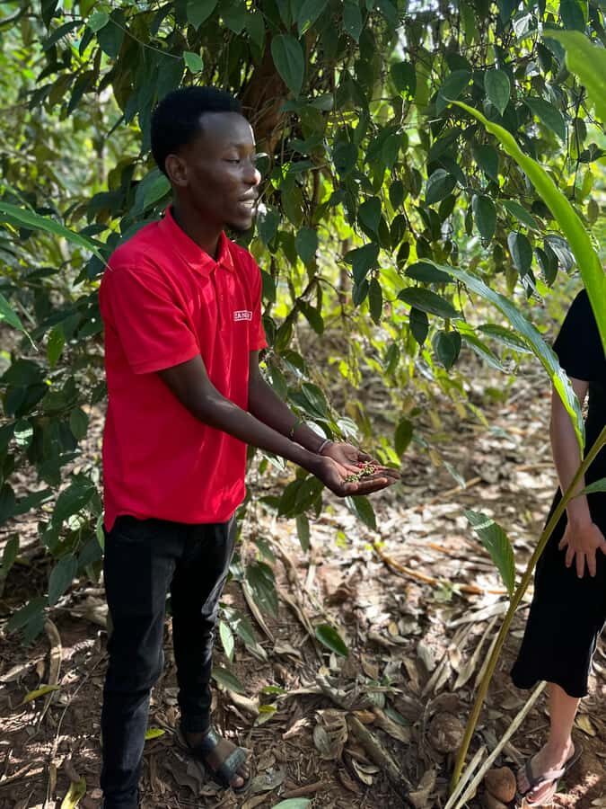 Zanzibar: Half-Day Prison Island, Tortoises and Spices Tour - Who this tour suits best (and who it won’t)