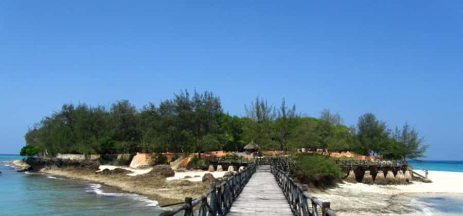 Zanzibar: Half-Day Private in Prison Island Tours - The tortoise sanctuary: touching the giants (and getting the photos)