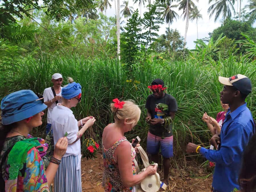 Zanzibar: Half-Day Spice Farm Tour,the flavours of Zanzibar - Cloves to crowns: the fun side and the shopping reality