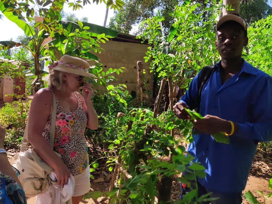 Zanzibar: Half-Day Spice Farm Tour,the flavours of Zanzibar - Should you book this Zanzibar Spice Farm Tour?