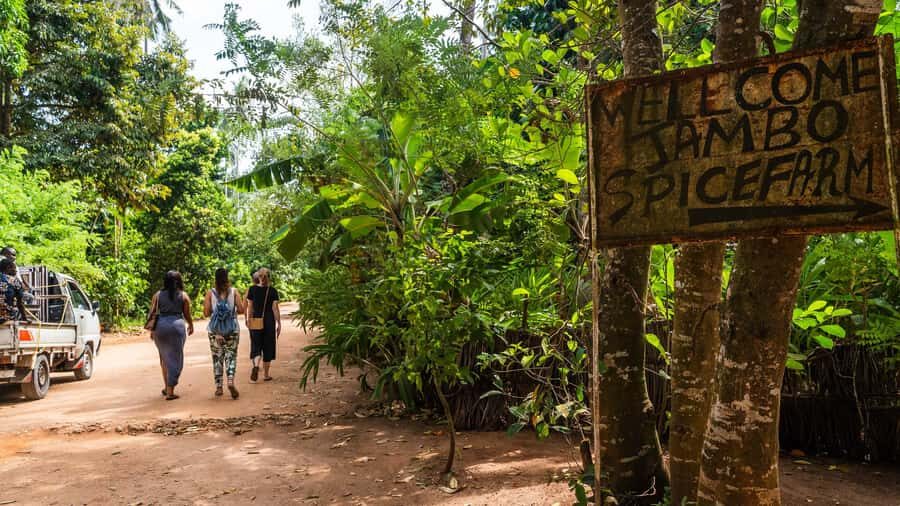 Zanzibar: Half-Day Spice Farm Tour,the flavours of Zanzibar - 4 hours with hotel pickup: how the timing really works