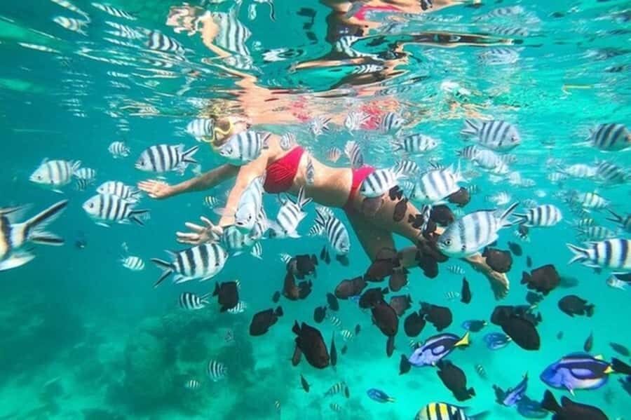 Zanzibar Half Day Trip in Mnemba Island - Key things to know before you go