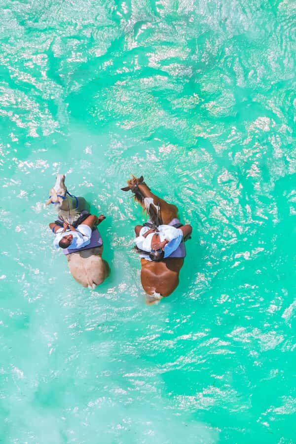 Zanzibar: Horse Riding and Kayaking with Video and Photos - How the pickup and drop-off affects your stress level