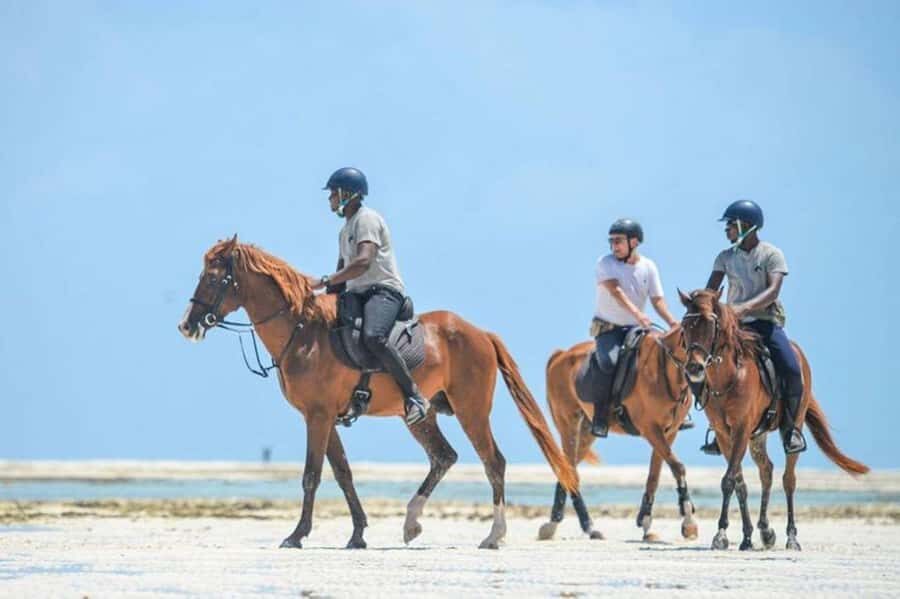 Zanzibar Horseback Riding - Swimming With Your Horse: Tide Rules, Wind Rules, and Planning Ahead