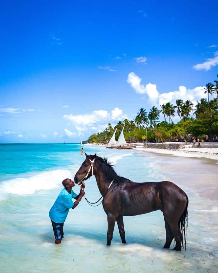 Zanzibar: Horseback Riding and Turtle Swimming Tour - Key points to know before you go