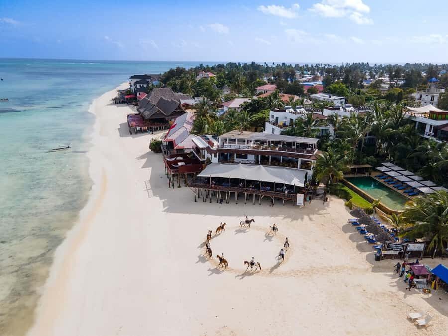 Zanzibar: Horseback Riding and Turtle Swimming Tour - The Baraka Natural Turtle Aquarium lagoon swim: why this part matters