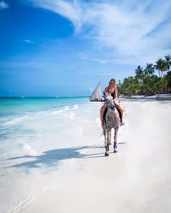 Zanzibar: Horseback Riding and Turtle Swimming Tour - Price reality check: is $195 per person good value?