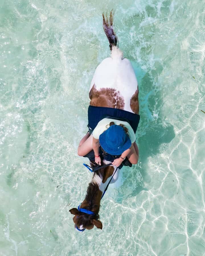Zanzibar: Horseback Riding and Turtle Swimming Tour - Tips to make the most of it