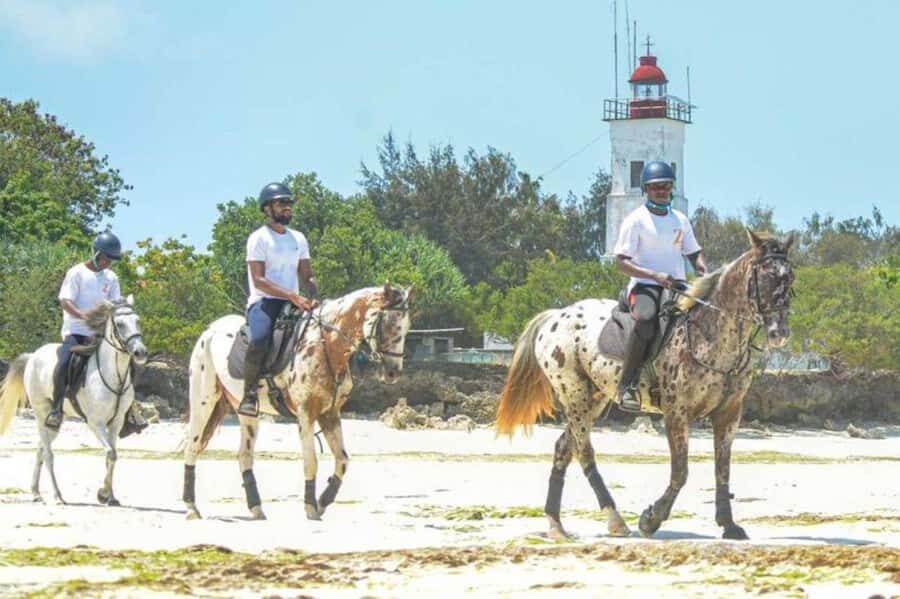 Zanzibar Horseback Riding - The 30-Minute Beach Ride: White Sands, Slow Breaths, and Real Motion