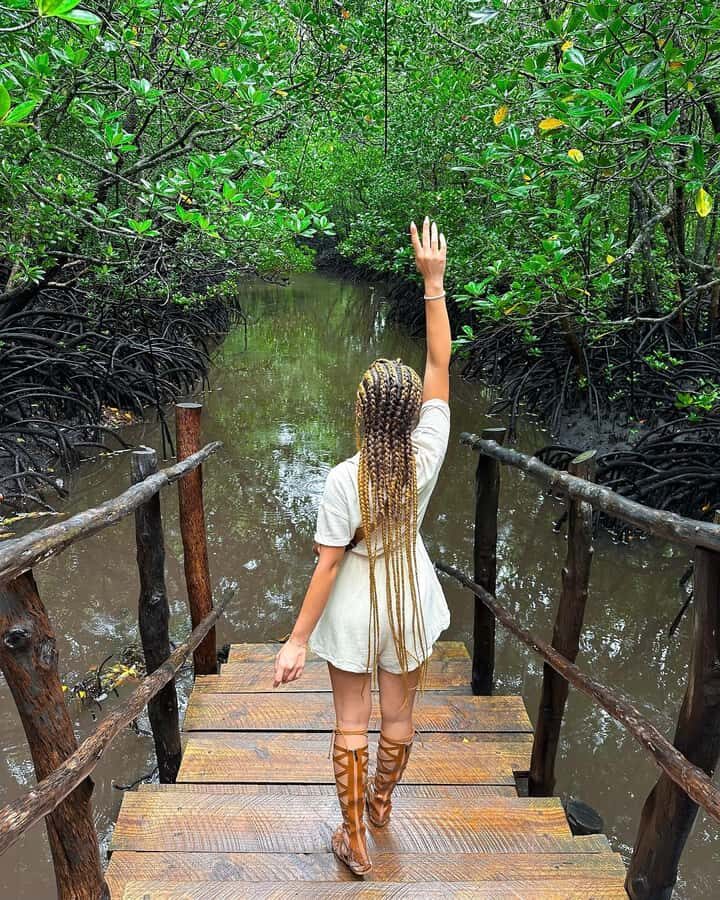 ZANZIBAR; JOZANI FOREST - Price and value: is $58 per person a fair deal?
