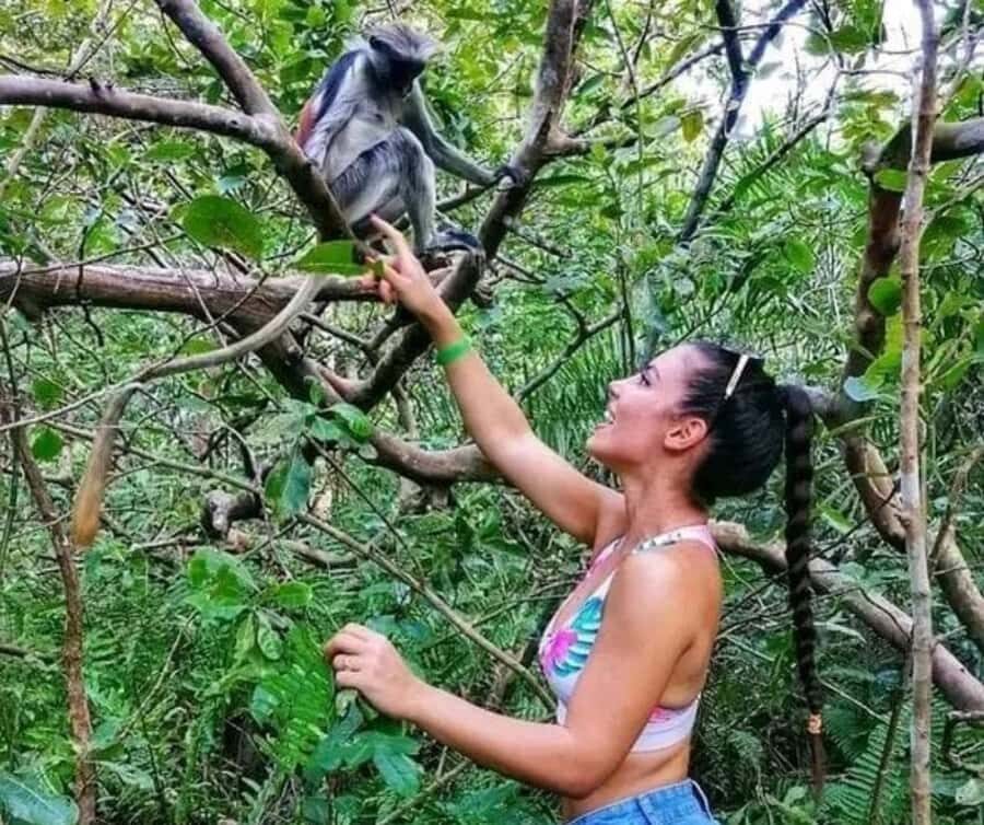 Zanzibar: Jozani Forest and Swim with Sea Turtles. - Jozani Forest: Red Colobus Monkeys and a Mangrove Walk You’ll Actually Enjoy