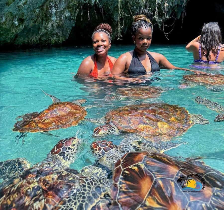Zanzibar: Jozani Forest and Swim with Sea Turtles. - Guides and Language: Getting the Most Out of the Day