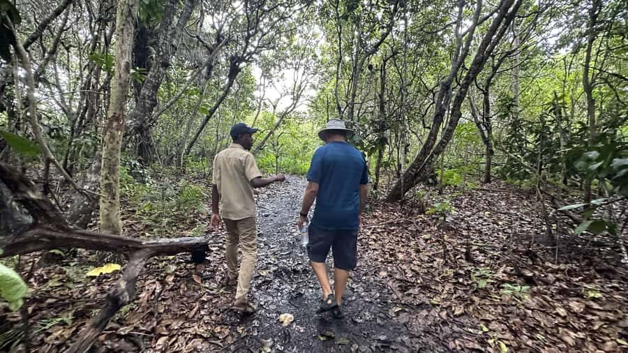 Zanzibar: Jozani forest, Butterfly center & Salaam cave tour - Butterfly Center Stop: Chameleons and Butterflies on a Timed Garden Visit