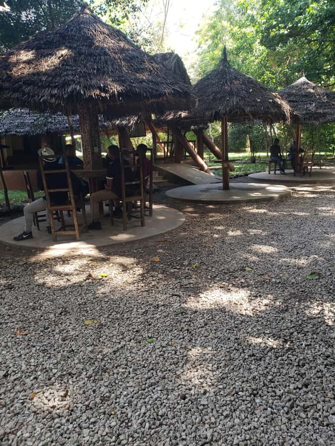 Zanzibar: Jozani forest, Butterfly center & Salaam cave tour - Who This Tour Fits Best (and Who Should Skip It)