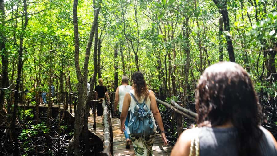 Zanzibar: Jozani Forest Guided Tour,Red Colobus and transfer - Common Friction Points to Watch Before You Book