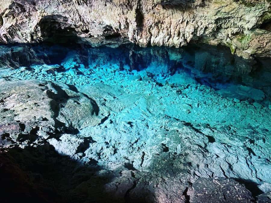 Zanzibar: Jozani Forest, Kuza Cave and Stand Up Paddle Tour - Guide quality: your best bet for getting great info
