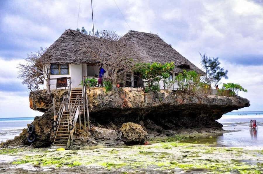 Zanzibar: Jozani Forest, Kuza Cave and Stand Up Paddle Tour - Jozani Forest and the Red Colobus monkey encounter