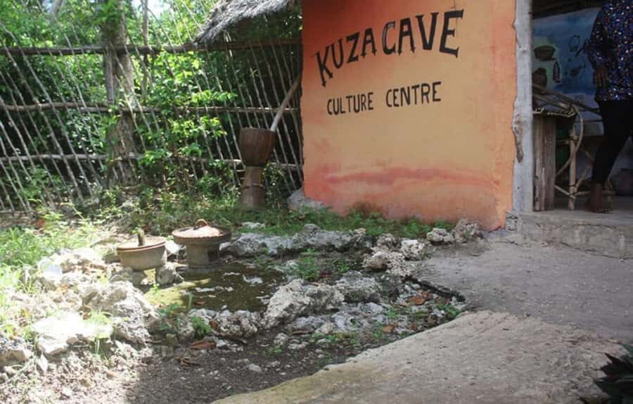 Zanzibar: Jozani forest + Kuza cave visit & Paje beach tour - Jozani Forest National Park: the red colobus walk you came for