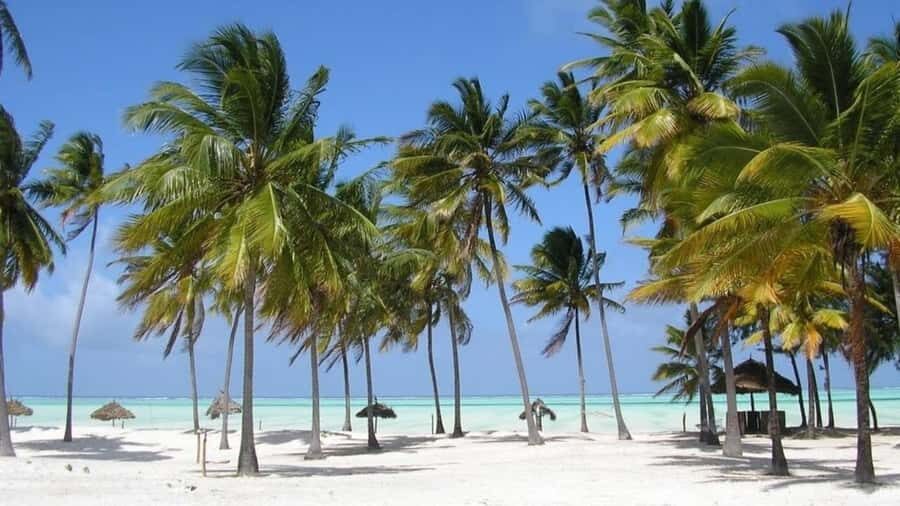 Zanzibar: Jozani forest + Kuza cave visit & Paje beach tour - Paje Beach: white sand downtime after the cave