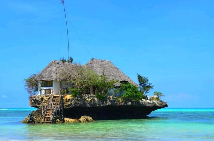 ZANZIBAR: Jozani Forest Monkey Tour and The Rock Restaurant - Jozani Chwaka Bay National Park: Zanzibar’s only national park