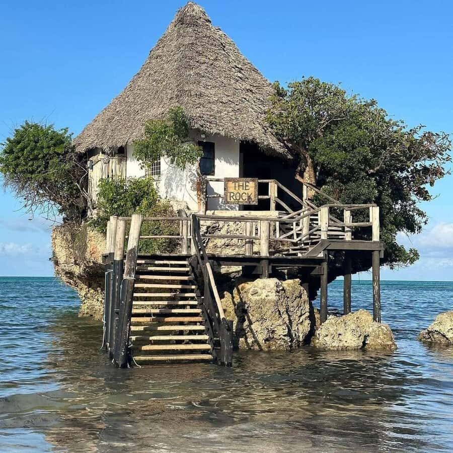 ZANZIBAR: Jozani Forest Monkey Tour and The Rock Restaurant - The 6-hour day: what to expect from pickup to park time