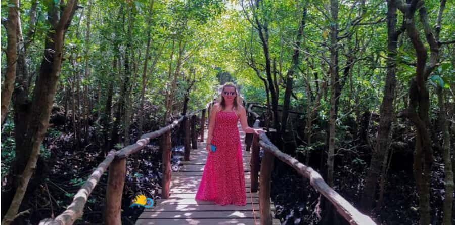 Zanzibar: Jozani Forest National Park Guided Tour - Key things to know before you go