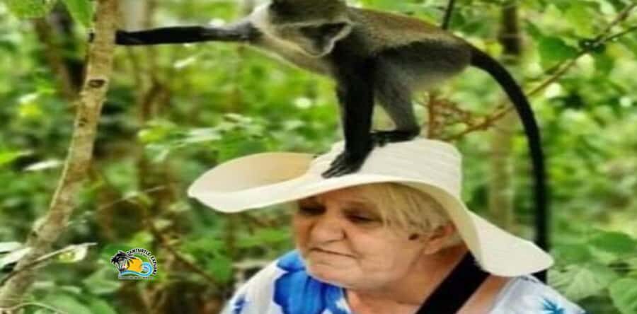 Zanzibar: Jozani Forest National Park Guided Tour - Jozani Forest National Park: Zanzibar’s Only National Park Worth a Walk
