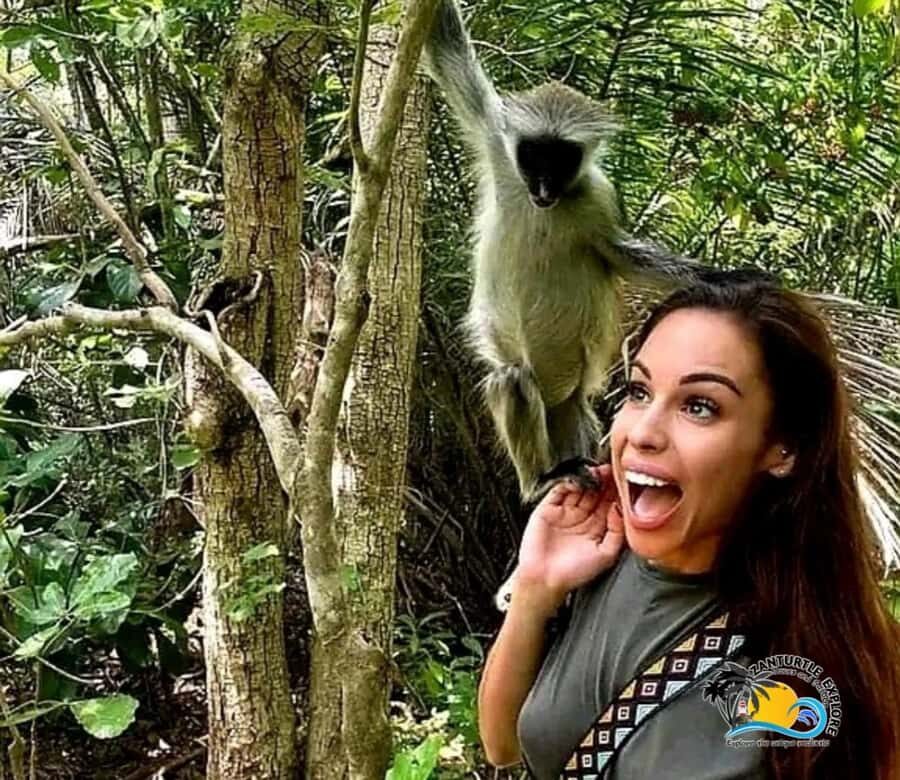 Zanzibar: Jozani Forest National Park Guided Tour - The Part That Can Really Matter: Guides, Punctuality, and Group Size