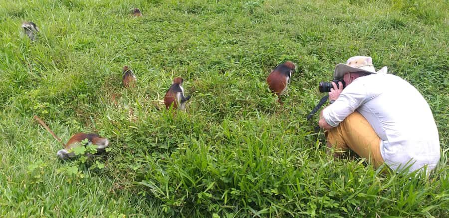 Zanzibar: Jozani Forest & Red Colobus Monkeys Private Tour - Key things to know before you go