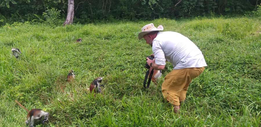 Zanzibar: Jozani Forest & Red Colobus Monkeys Private Tour - Jozani Forest and the red colobus: what you’re really chasing