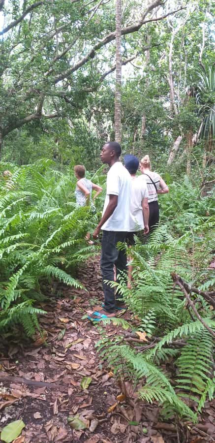 Zanzibar: Jozani Forest & Red Colobus Monkeys Private Tour - Meet the guide: when language helps more than you think